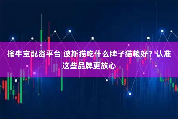 擒牛宝配资平台 波斯猫吃什么牌子猫粮好？认准这些品牌更放心